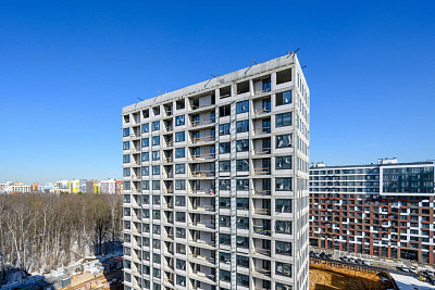 Левел Лесной