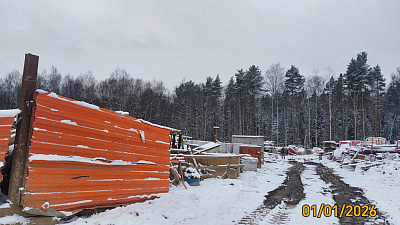 ЛО, Городской поселок Янино-1