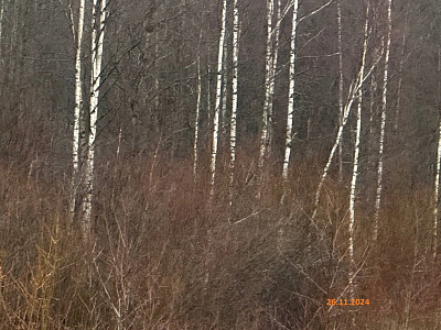 ЖК