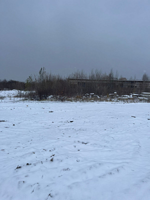 г. Тамбов, улица Заводская