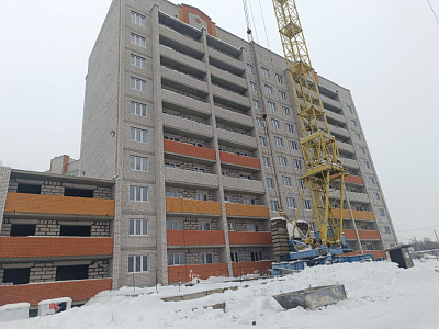 Деревня Новосельцы