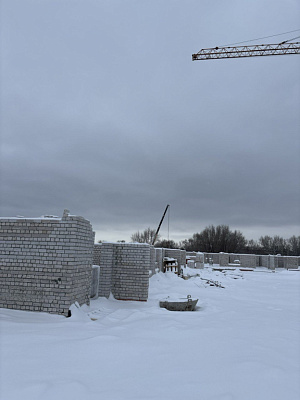 Город-парк