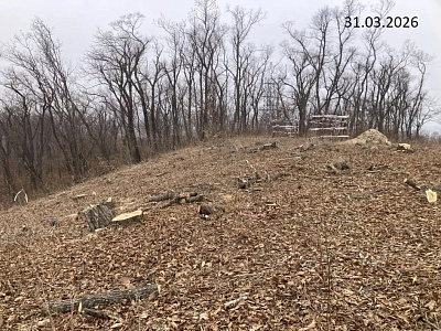 Твоя Привилегия