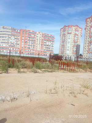 Мирапорт
