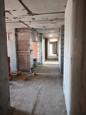 Синица. Сезоны 