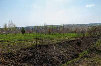 Новинки 