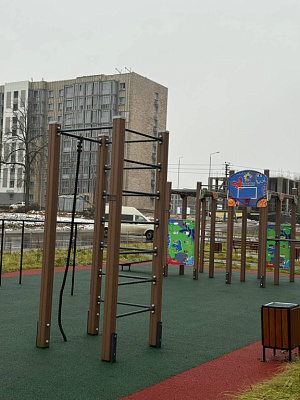 МО, Поселок городского типа Радумля, район ММС-2