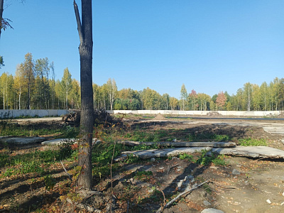Династия.Квартал поколений.Жилой дом 907
