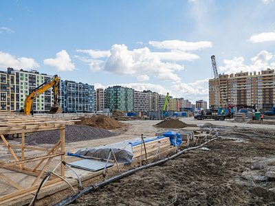 Янинский лес