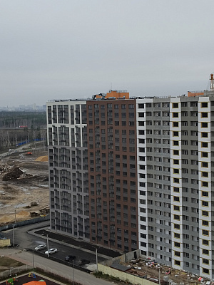 г. Воронеж, Улица