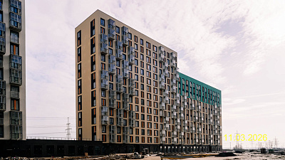 Невская Долина корпус 1.1