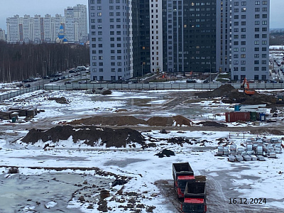 Парголово