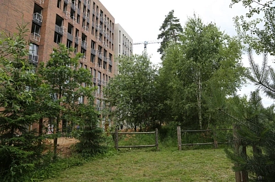 Кварталы Отрада