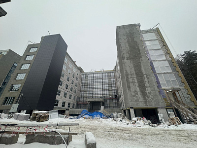 Парк-отель Тургояк-Резорт