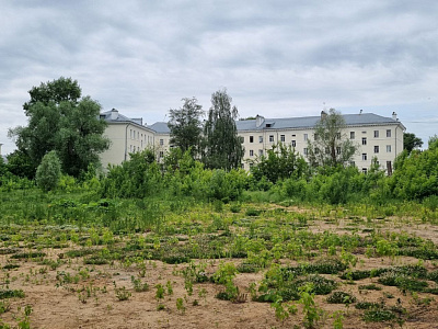 Орнамент