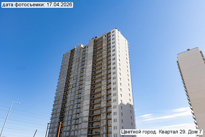 Цветной город