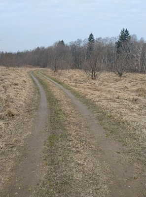 Поселок Лесное, Улица Лесная