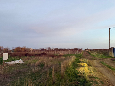 Село Новоселовка, Улица Виноградная