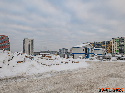 Янинский лес