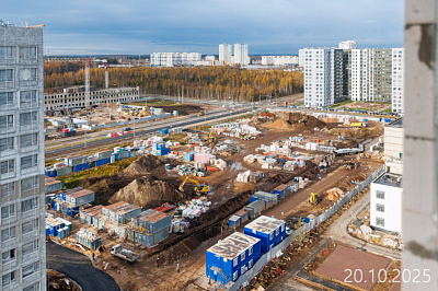 Парголово