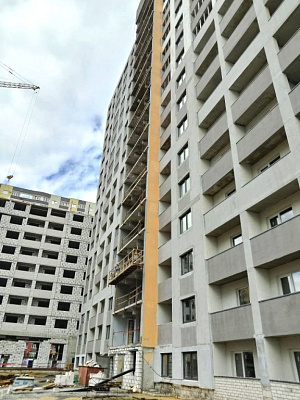 г. Воронеж, Улица