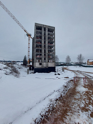 МО, Поселок городского типа Радумля, район ММС-2