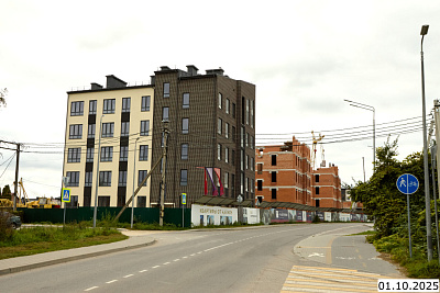 г. Пионерский, Улица Рабочая