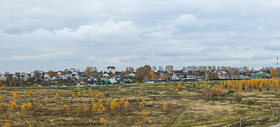 Новинки 