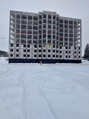 МО, Поселок городского типа Радумля, район ММС-2