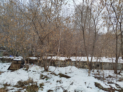 г. Новосибирск