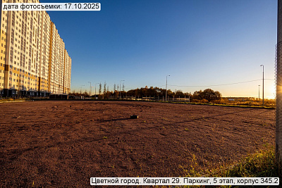 Цветной город