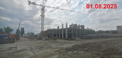 Крылья Качи