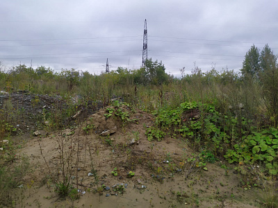 г. Новосибирск