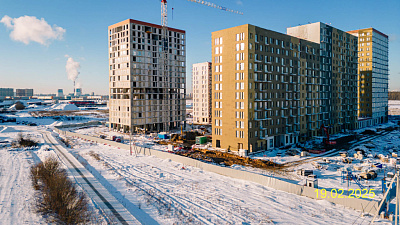 Невская Долина корпус 1.1