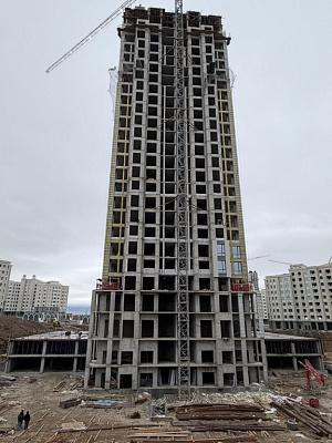 г. Грозный, Улица В.В. Путина