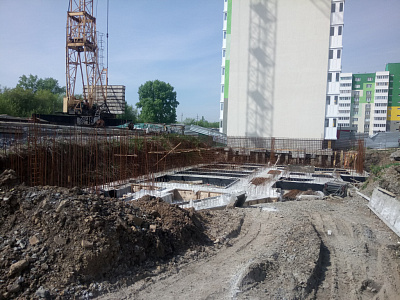 Березовая роща