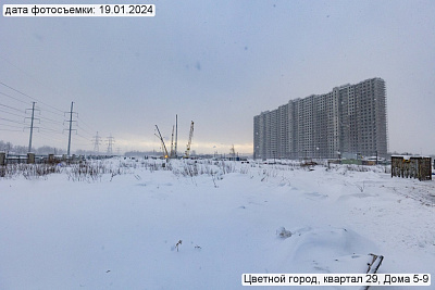Цветной город