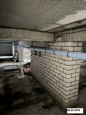 г. Череповец, пр-кт Шекснинский