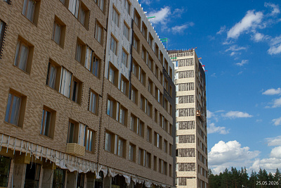Экосити