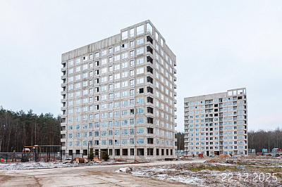 Новоселье