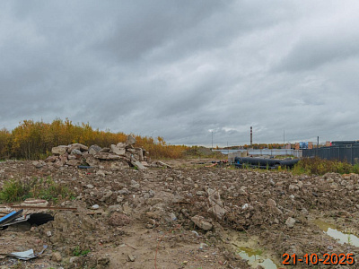 Таллинский парк