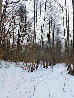 Комплекс апартаментов OTRADA resort