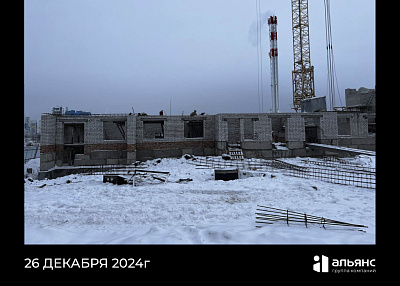 Село Засечное, ул Новая