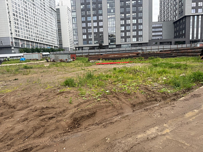 Ньютон Апартментс