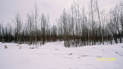 ЛО, Поселок Новогорелово