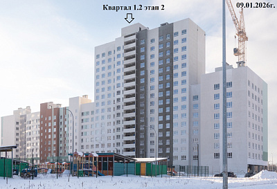 РеФорма Оптимум