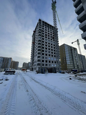 Темп