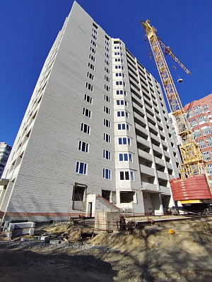 г. Тамбов, Улица Мичуринская