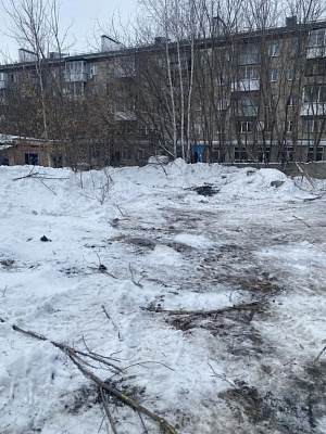 г. Новосибирск