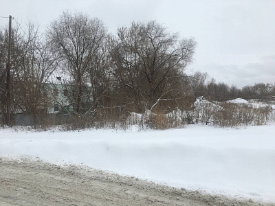 Дом Гринева